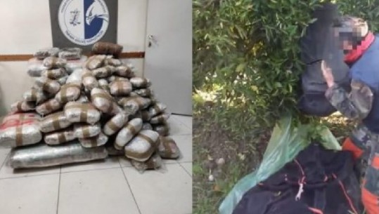 U kap me mbi 167 kg kanabis, arrestohet shqiptari në Greqi! I fshehu në fermë mandarinash