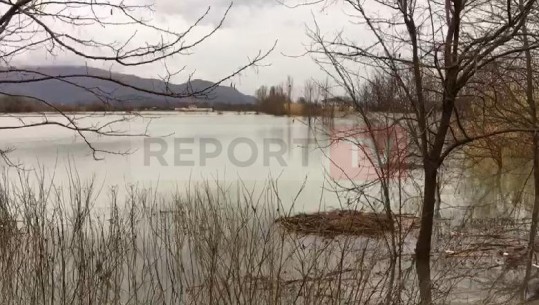 Shqipëria e mbuluar nga dëbora, Shkodra nga uji! 5370 hektar të përmbytur, më problematikët zona e Obotit dhe Dajçit