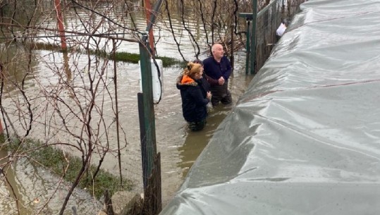 Rëndohet situata e reshjeve në Shkodër, Forcat e Armatosura nisin evakuimin e banorëve dhe të gjësë së gjallë (VIDEO)