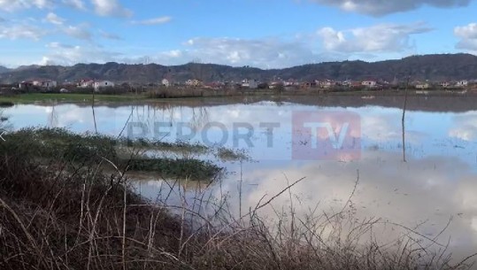Moti i keq/ 56 shtëpi të përmbytyra dhe 370 hektarë tokë nën ujë në Durrës, evakuohen 2 familje, strehohen në Konvaleshencë (VIDEO)