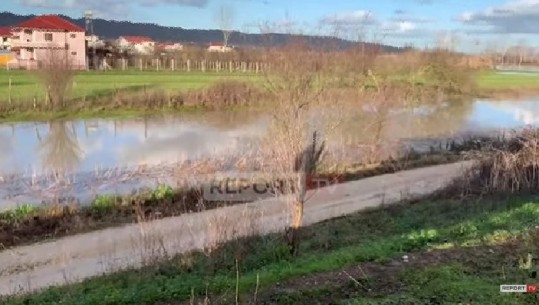 Moti i keq/ 137 shtëpi në Shkodër të rrethuara nga uji, 4,050 ha tokë të përmbytura! Oboti i bllokuar! Evakuohen 2 familje në Durrës