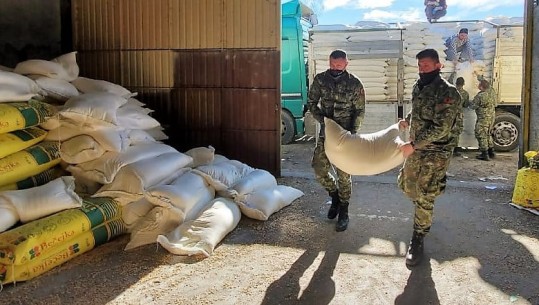 Përmbytjet në zonën e nën Shkodrës, Peleshi: FA pranë banorëve të prekur, shpërndamë 35 ton koncentrat për bagëtitë në Dajç