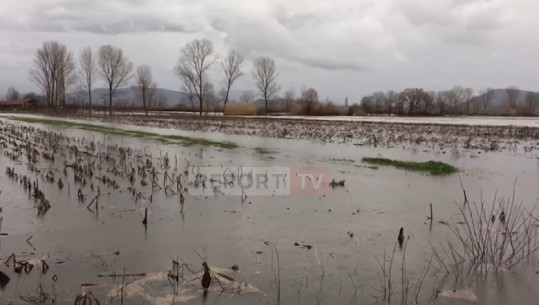 Nis verifikimi i dëmeve nga përmbytjet në Shkodër, bashkia: Fatura mbi 3 mln euro