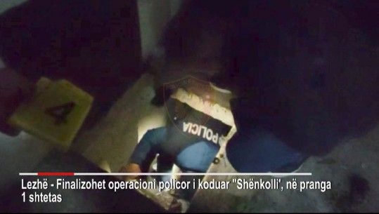 Kultivonte kanabis në bodrumin e shtëpisë, arrestohet 49-vjeçari në Lezhë (VIDEO)