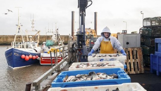Post-Brexit, peshkatarët britanikë në gjendje të keqe
