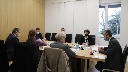 Zgjedhjet e 25 prillit, Celibashi dhe Pelinku takohen me delegacionin e Misionit të Vëzhgimit të OSBE-ODIHR-it