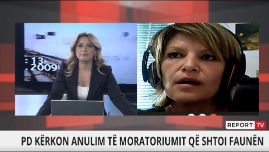 Moratoriumi i gjuetisë, Marikaj në Report Tv: Ministria e Mjedisit është në diskutime për shtyrjen ose jo! Nuk mbyllet pa një ligj të detajuar për gjuetinë