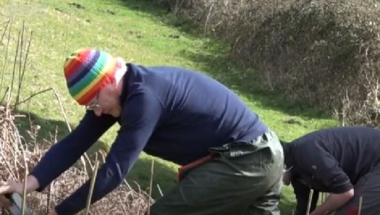 Oksigjen për të sëmurët, mjekë dhe infermierë mbjellin pemë dhe lule pranë spitalit COVID në Britani 