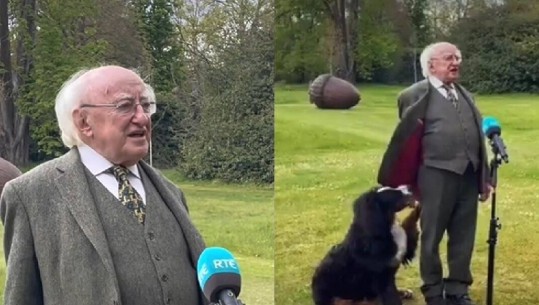 Presidenti irlandez dhe qeni i tij ‘rrëmbejnë’ zemrat e shikuesve gjatë një interviste live (VIDEO)