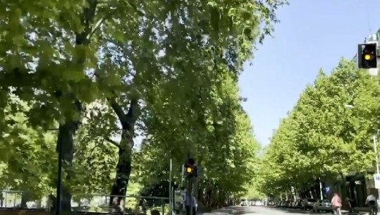 Rama rikujton kohën si kryebashkiak dhe nxjerr videon nga Tirana: Kënaqësi kur kujtoj se kur i mbollëm pemët ishin pak më të larta se unë