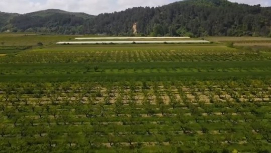 Rama nxjerr videon nga Rrogozhina: Aty ku deri para 7 vitesh s'kishte ujë për vaditje, sot janë 400 hektarë të kultivuara me perime