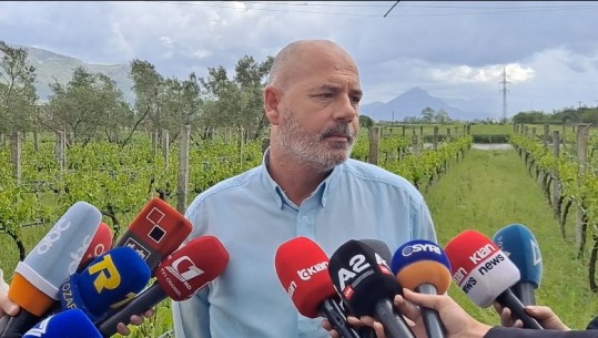 Reshjet e breshërit, reagon drejtori i Bujqësisë në bashkinë Shkodër: Janë dëmtuar rreth 350 ha tokë me të mbjella! Fermerët i bëjnë apel qeverisë për ndihmë