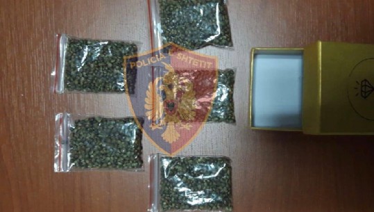 Iu gjetën mbi 2 mijë fara kanabis, arrestohen dy kushërinjtë në Vlorë