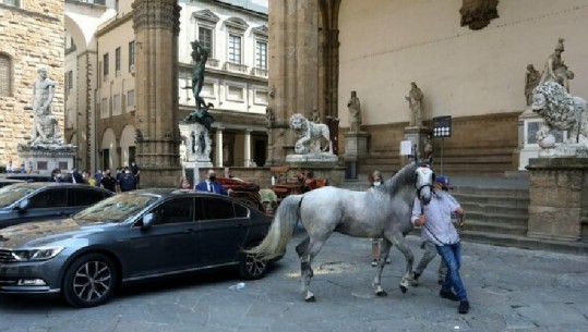 VIDEOLAJM/ Vapa bën të sajën, ‘çmendet’ kali në Firence, merr para çdo gjë në sheshin e qytetit të mrekullueshëm italian! Dëmtohet eskorta e ministrit