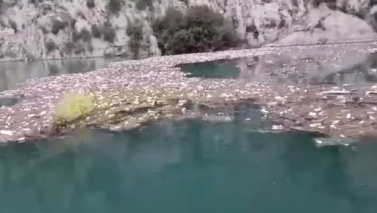 Ndotet Liqeni i Komanit, specialisti i turizmit ngre alarmit: Aty po shkarkohen kamionët me mbeturina