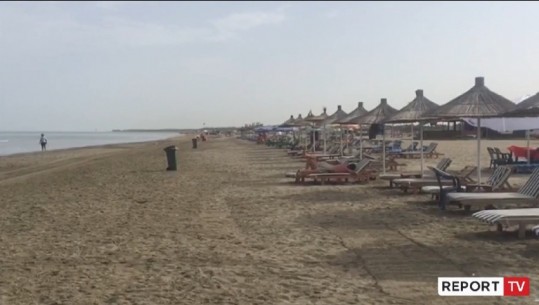 Mushkonjat ‘pushtojnë' plazhin e Darëzezës në Fier, ulet numri i frekuentuesve! Pushesit: Nuk është bërë asnjë dizensektim i zonës