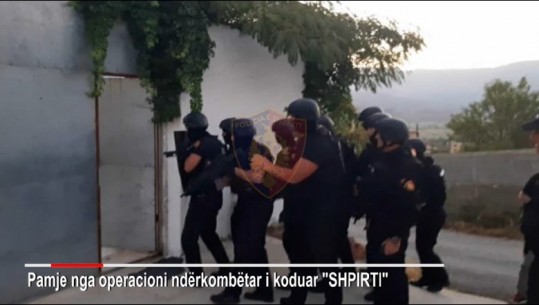 VIDEO/ 200 policë të armatosur 'gjer në dhëmbë', si u prangosën të akuzuarit për trafik droge! E para herë që policia zbulon fytyrat'! Një pistoletë poshtë kolltukut