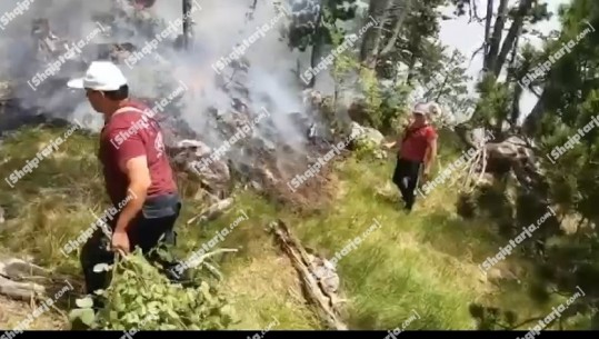Dita e pestë e zjarrit në Malin e Tomorrit, shkrumbohen 23 hektarë pyll, 2 të arrestuar! Drejtori i Zonave të Mbrojtura: Situata e përmirësuar, flakët jo nga shkaqe natyrale