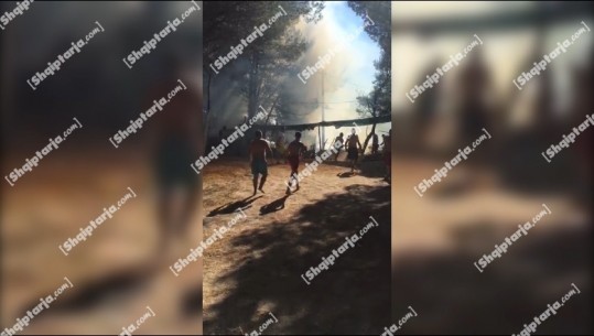Vlorë/ Zjarr në Pyllin e Sodës, banorët dhe pushuesit në ndihmë të zjarrfikëses