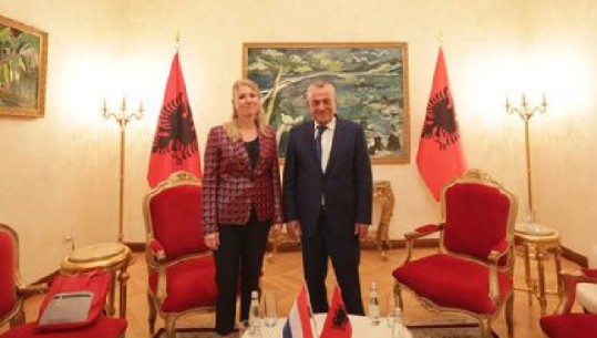 Ruçi takim me ambasadoren e Holandës: Mirënjohje për mbështetjen e Parlamentit holandez për rrugëtimin europian të Shqipërisë
