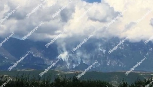 Pas 9 ditësh, neutralizohet zjarri në malin e Tomorit! Digjen rreth 25 hektarë pyll me pisha