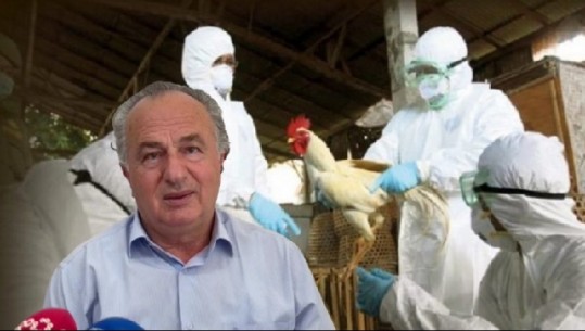 120 pula të infektuara me Gripin e Shpendëve në Fier, shpendët groposen në 2 metra thellësi