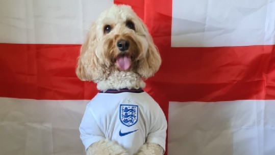 Anglia apo Danimarka? Qeni i 'famshëm' parashikon rivalen e Italisë në finalen e Euro 2020
