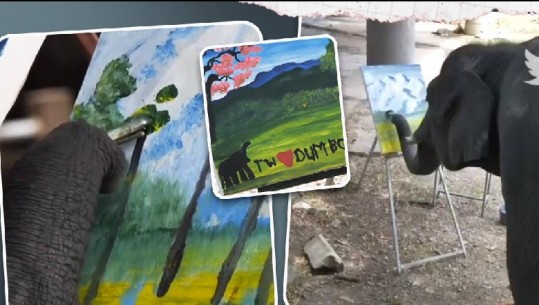 Elefanti ‘artist’ pikturon peizazhin, videoja bëhet virale në internet  (VIDEO)