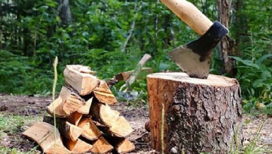 Iku për të prerë dru në mal, zhduket prej një jave 40-vjeçari në Martanesh