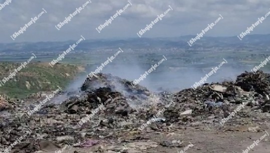 Situata me plehrat në Spille, Landfilli i Sharrës: Përgjegjësi e kreut të Bashkisë Kavajë, refuzoi të jepte sasinë e mbetjeve