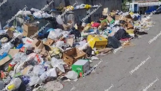 Situata kaotike me plehrat në Durrës, Qeveria vë në dispozicion paratë: Bashkitë të zgjidhin urgjent problemin me menaxhimin e mbetjeve