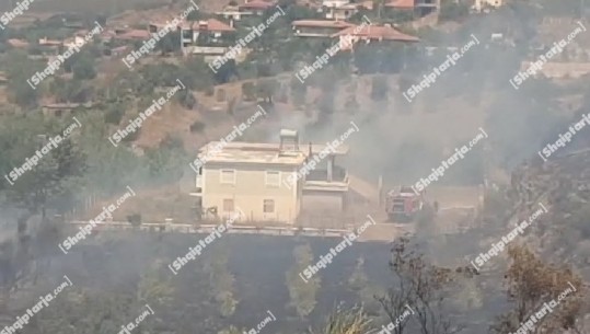 Zjarr në një kodër me ullinj në fshatin Shelegar të Sarandës! Kryetari i fshatit për Report Tv: U rrezikuan 2 banesa, u evakuuan banorët! E vështirë ndërhyrja nga zjarrfikësja
