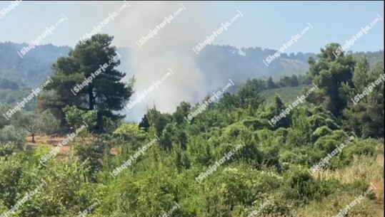 Digjet prej 24 orësh pylli me pisha në fshatin Gjorgos në Fier, zjarrfikësit hasin vështirësi për shuarjen e tij për shkak të terrenit