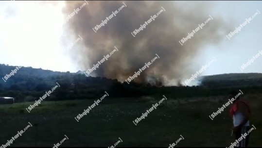 Pas dy orësh 'luftë' me flakët, zjarrfikëset arrijnë të shuajnë flakët në Karbunarë, digjen 10 ha ullishte dhe 1500 rrënjë ulliri