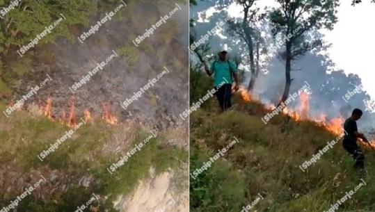 Zjarr në pyllin e fshatit Tragjas të Vlorës, era favorizon flakët, zjarrfikësit tentojnë t'i shuajnë me mjete rrethanore! Dyshohet zjarrvënie e qëllimshme