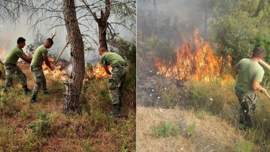 Zjarret në Vlorë, në Karaburun deri tani janë djegur mbi 600 hektarë