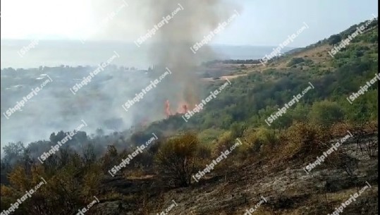 Zjarr i madh në Radhimë, rrezikohen bizneset dhe banesat! Banorët në 'luftë' me flakët