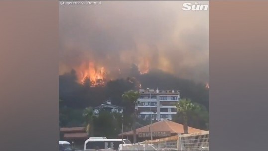 VIDEO/ Pamjet e frikshme, zjarret si në 'ferr' në Turqi, shkon në 4 numri i viktimave! Ndërhyn Rusia, gati për ndihmë edhe Greqia dhe Azerbajxhani