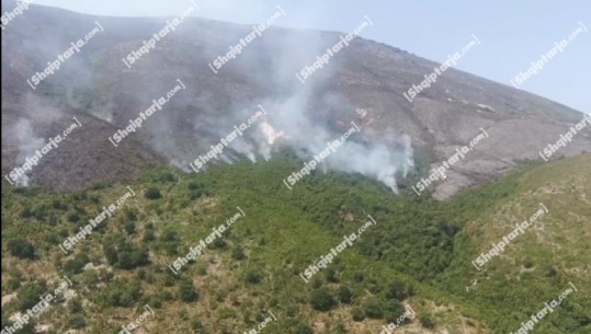 Vlorë/ Zjarr në Tragjas, Radhimë e Karaburun! Digjen qindra hektarë me shkurre e pemë! Flakët përpijnë hyrjen e Ksamilit! Punonjësit 'luftojnë' me mjete rrethanore