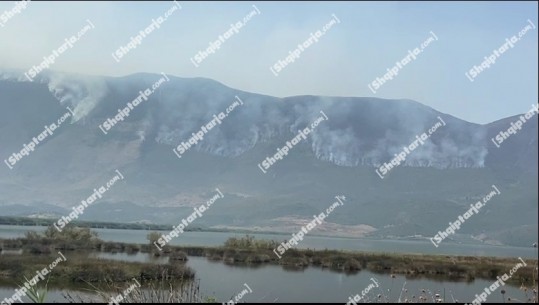 Zjarret në Vlorë, Shefi i Zjarrfikësve për Report Tv: Nuk kemi mjete, nuk shkojmë dot në disa vatra