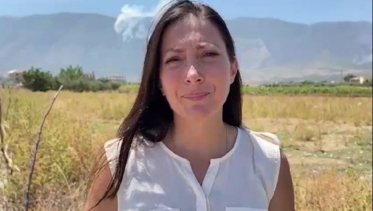 Drejtoresha e Zonave të Mbrojtura në Vlorë, Lazaj: Janë djegur rreth 500 ha sipërfaqe! Kërkohet ndërhyrje urgjente nga ajri