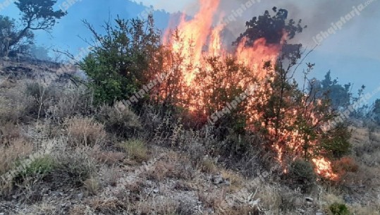 Ministria e Mbrojtjes jep informacione për zjarret: Rreth 500 efektivë të FA në terren, rrezik në Dukat e Llogara! Vatër aktive edhe në fshatin Cukal