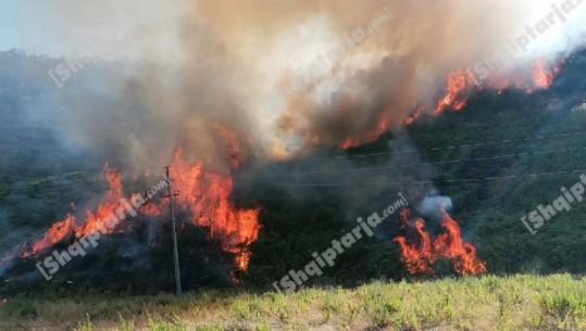 Tjetër zjarr në Vlorë, përfshihet nga flakët fshati Xhyherinë! Digjen pemë e ullinj, dyshohet zjarrvënie e qëllimshme