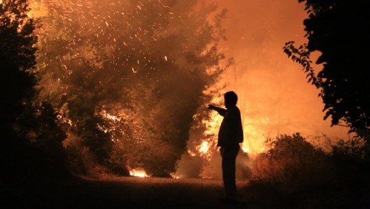 Turqia në përballje me flakët!  Pakdemirli: 98 nga 107 zjarret janë vënë nën kontroll! Qeveria evakuon turistët