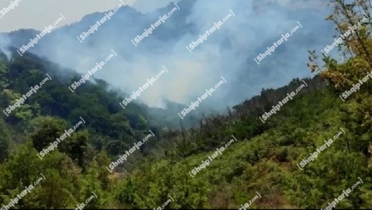 Një tjetër vatër e madhe zjarri në Vlorë,  flakë edhe në malin e Kuçit