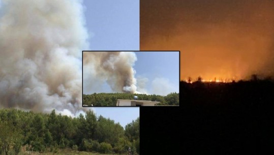 2 vatra zjarri në Mamurras, rrezikohen 5 banesa! Era favorizon flakët, 2 zjarrfikëse po punojnë për shuarjen e tyre! Peleshi: Vatër kritike (VIDEO+FOTO)
