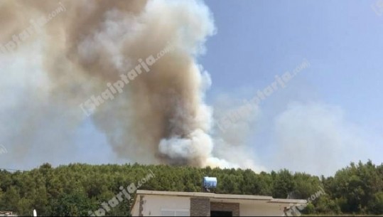 U rrezikuan 5 banesa, kryetarja e Bashkisë Kurbin: Vihen në kontroll vatrat e zjarrit në Mamurras, dëmet të mëdha! Të çojmë para drejtësisë përgjegjësit