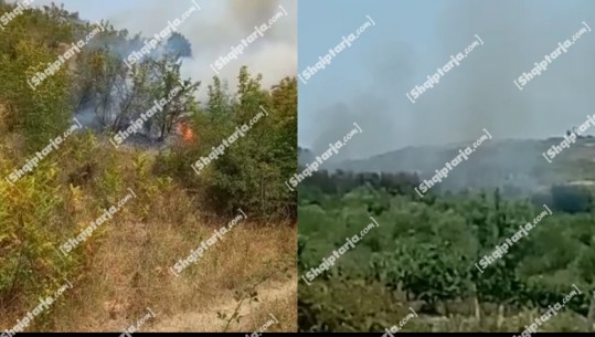 Zjarr në kodrat e fshatit Palokastër në Gjirokastër, situata kritike! Digjen 4 hektarë shkurre edhe në Divjakë