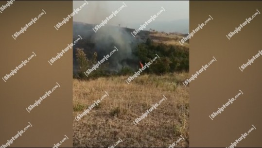 Zjarr në fshatin Dhoksat në Lunxheri, digjen 3 hektarë kullota, rrezikohen edhe 5 hektarë me pemë frutore