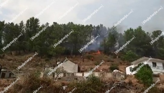 Përkeqësohet situata e zjarrit në Lunxheri, Peleshi urdhër: Të evakuohen banorët